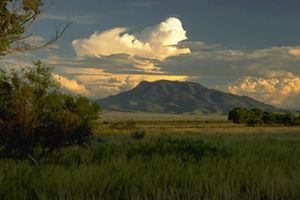 Celebrating 40 Years of Conservation in New Mexico